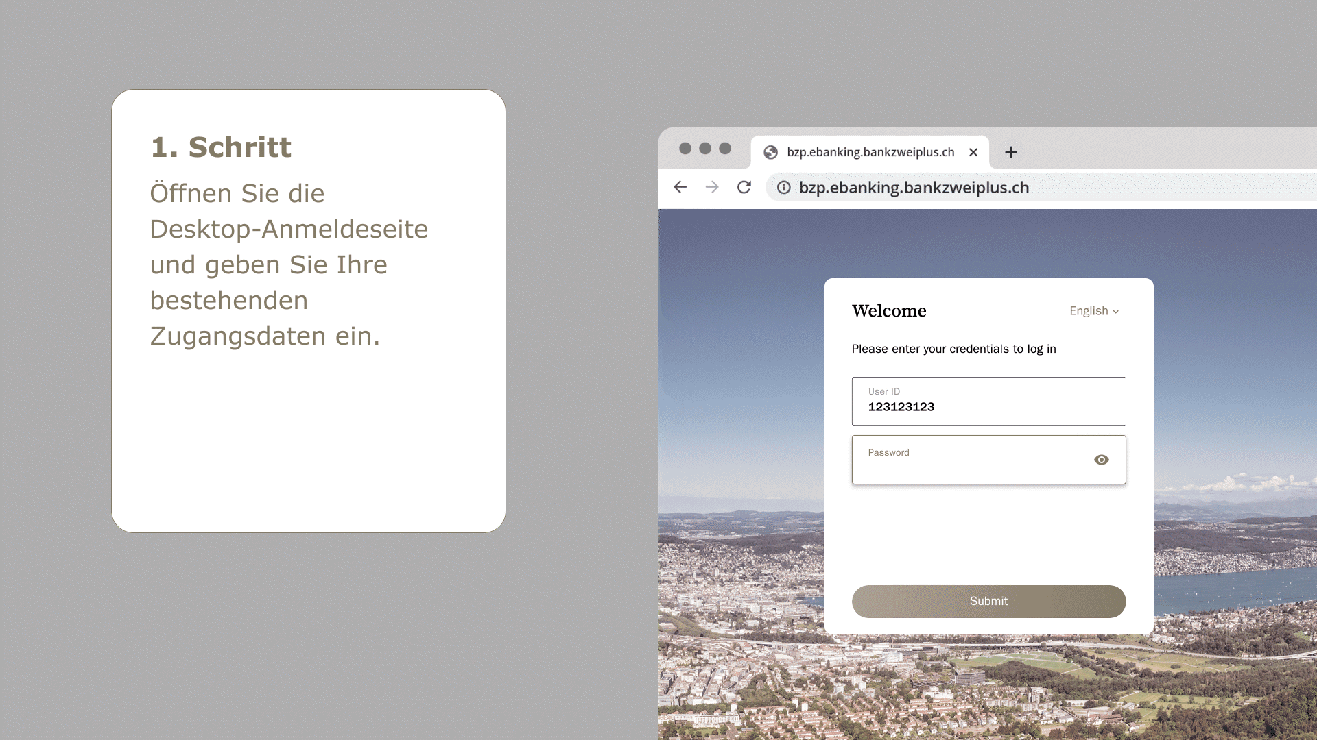 2-1-login-desktop-sms-step1_de.gif
